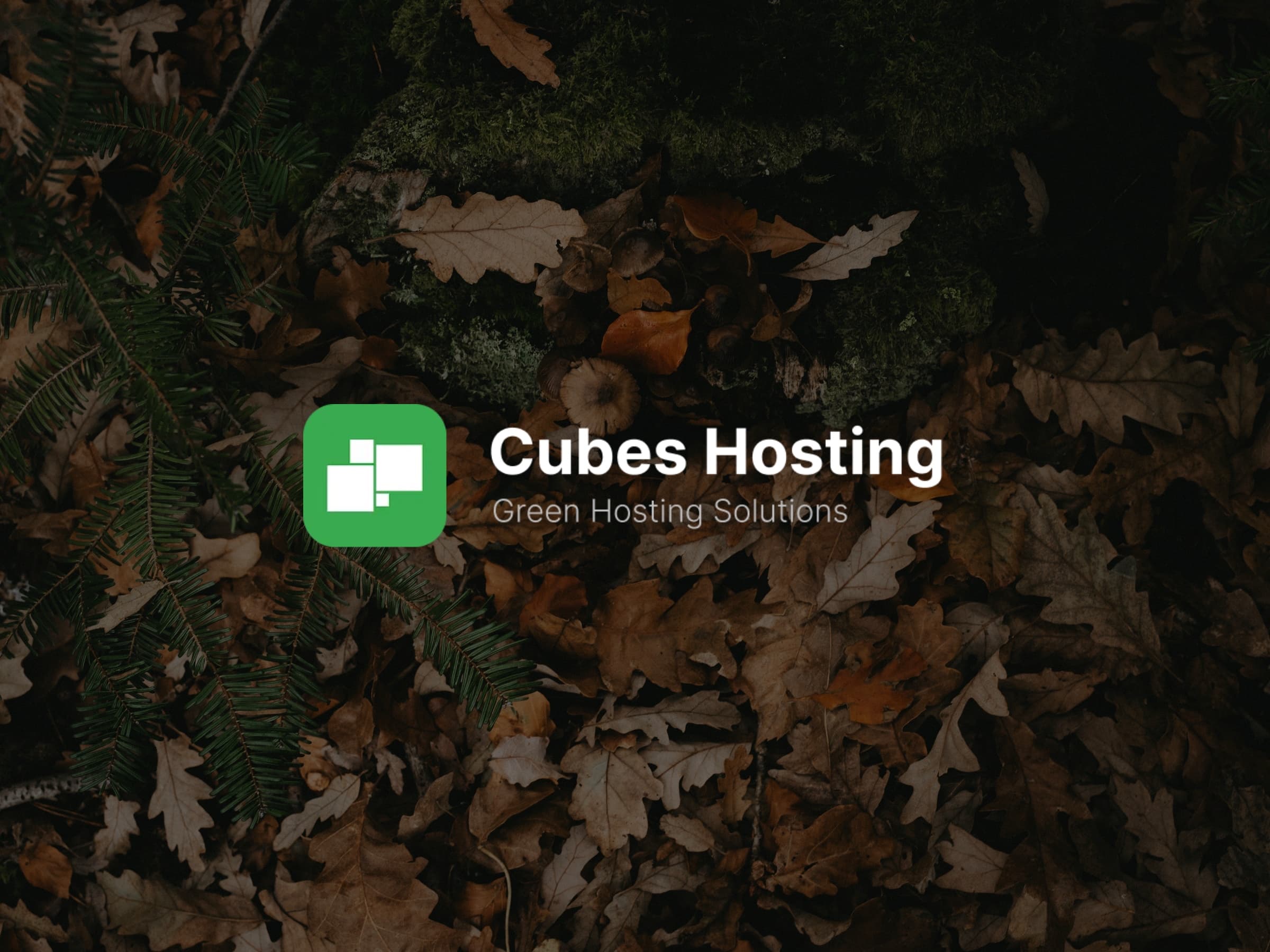 Cubes Hosting - EcoFriendly Game& Web Hosting