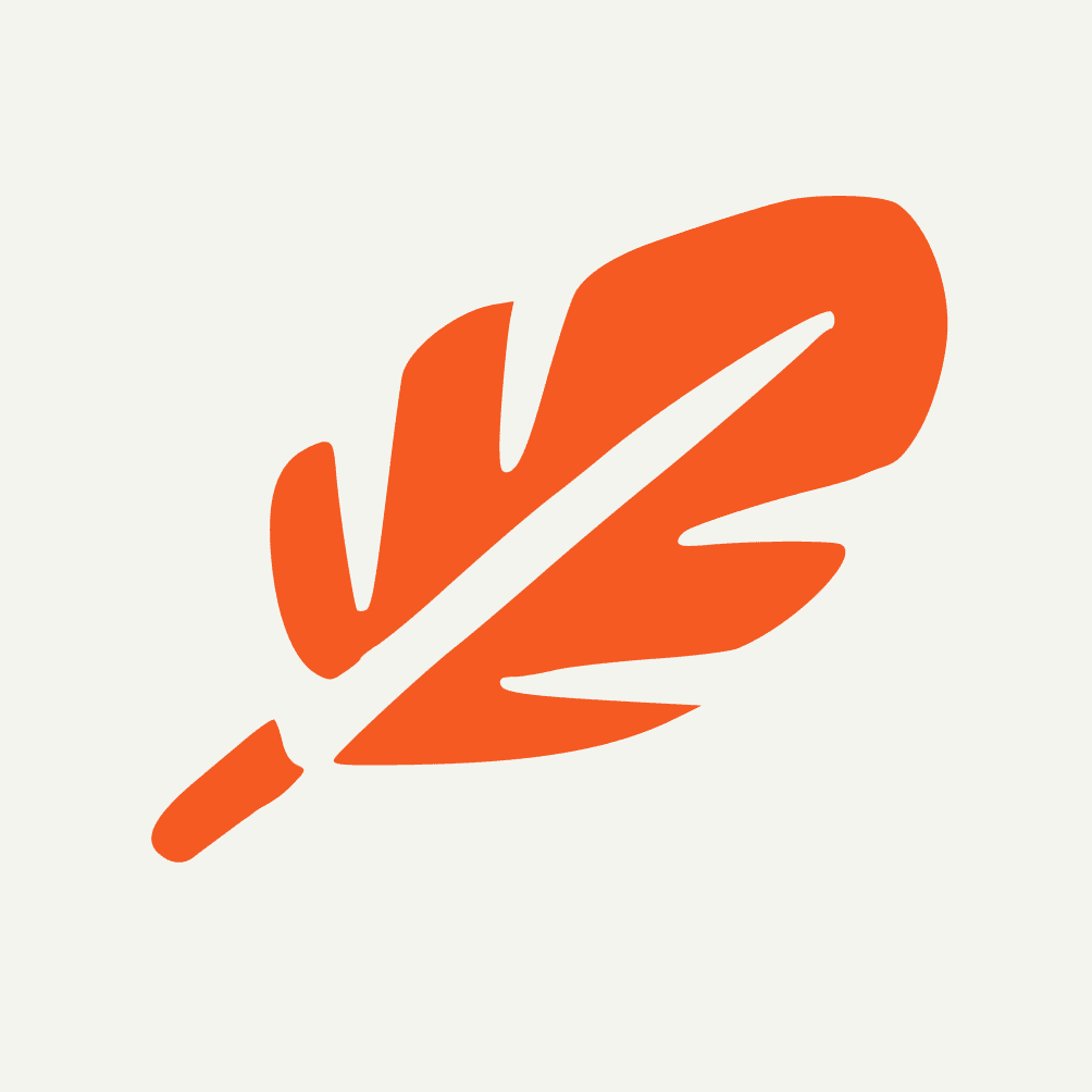 SupaBird - Grow X Audience 10x Faster