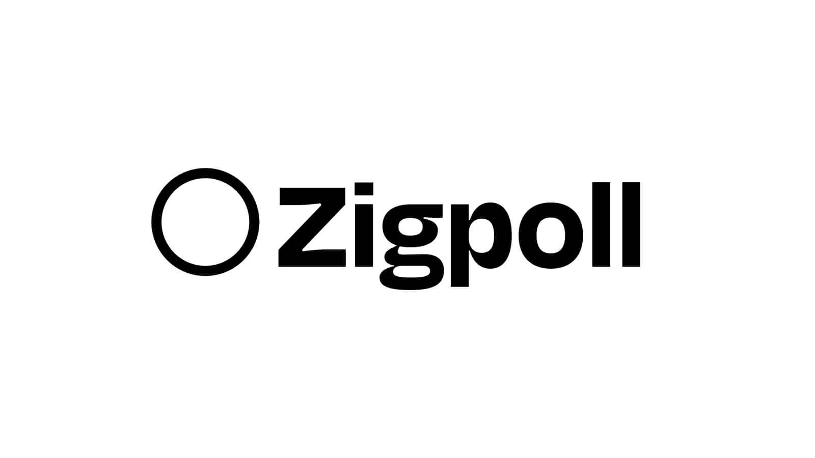 Zigpoll - Polls & Surveys That Convert