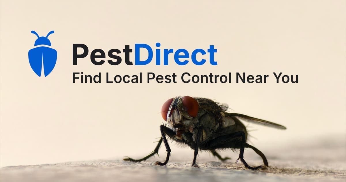 Pest Direct - Compare local pest control companies before you hire.