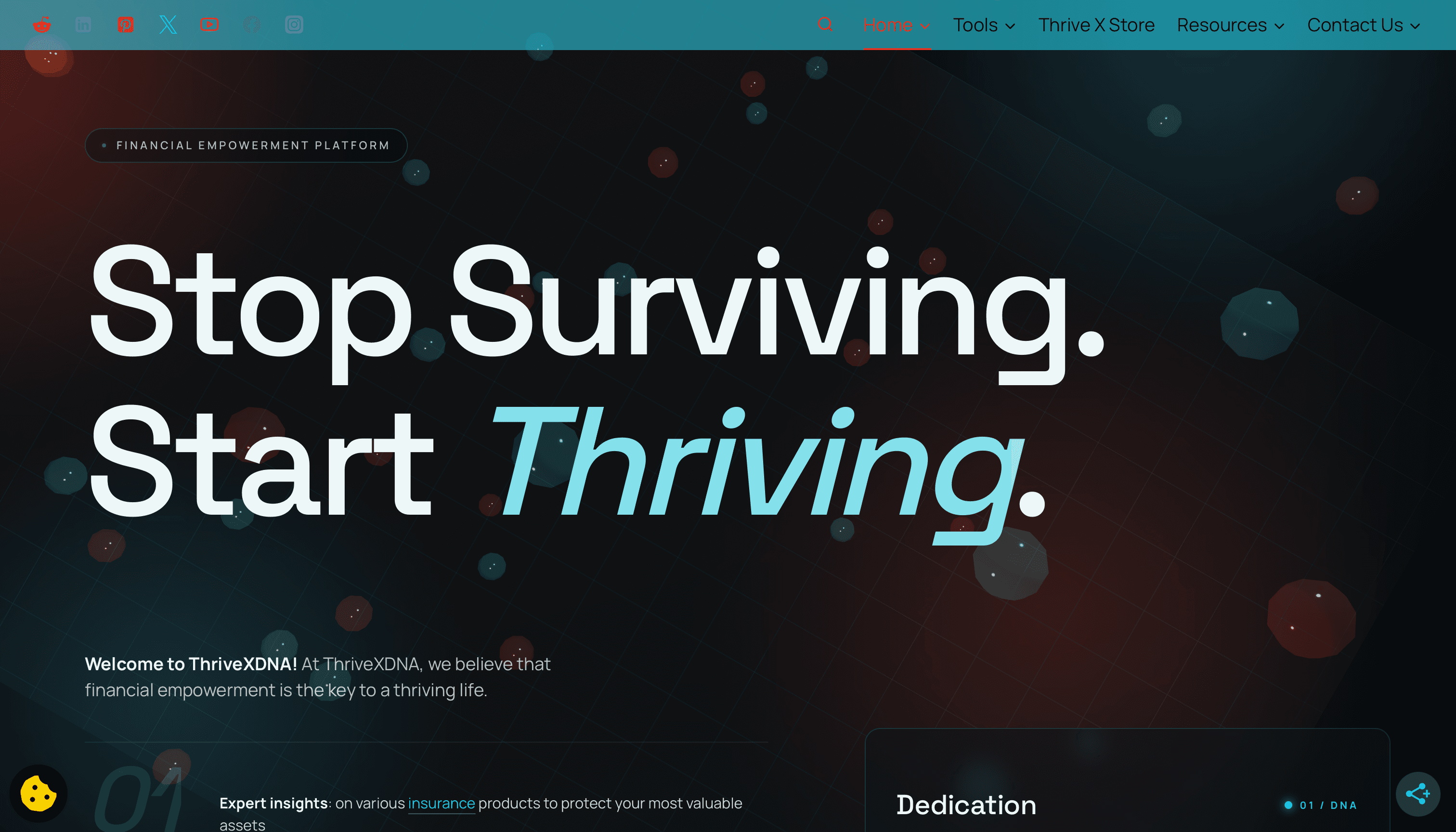 ThriveXDNA - Stop Surviving. Start Thriving.